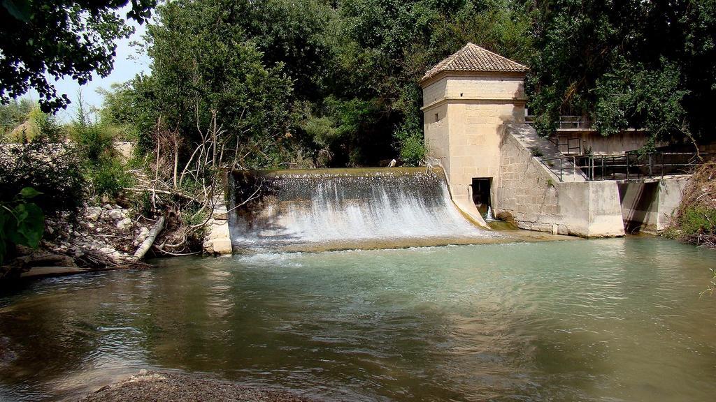 Rural El Nacimiento Deifontes
